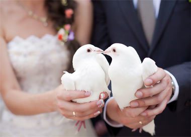 Что подарить на&nbsp;свадьбу молодоженам&nbsp;— картинка